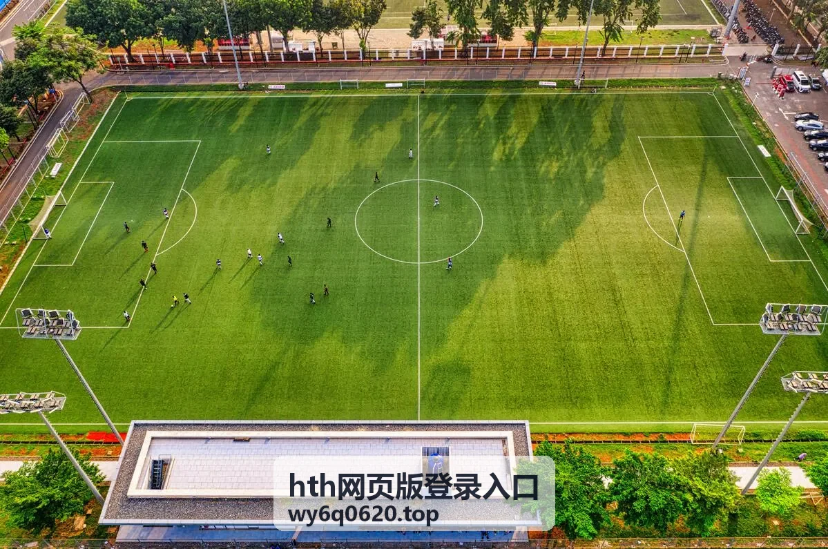 hth网页版登录入口网页端登录面板与账号信息填写界面